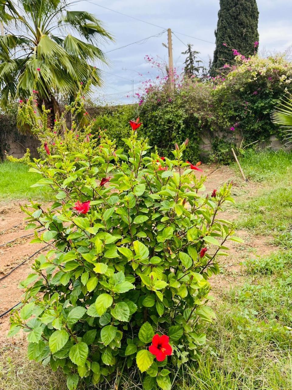 Villa Le Jasmin Oulad Bou Abdallah Zewnętrze zdjęcie