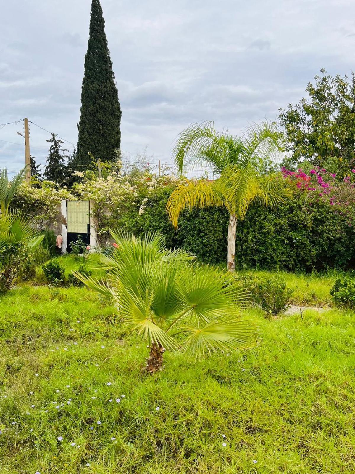 Villa Le Jasmin Oulad Bou Abdallah Zewnętrze zdjęcie